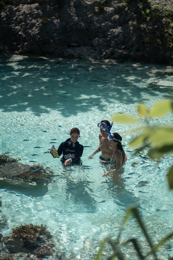 Snorkeling in the clear tropical waters of Bora Bora