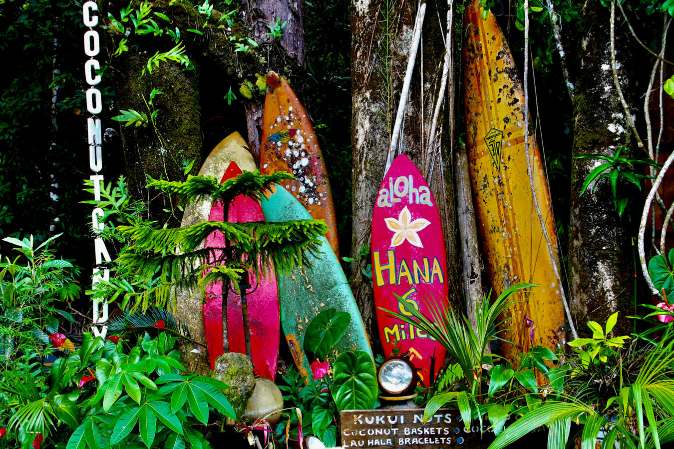 Colorful surfboards along the Road to Hāna Maui Hawaii