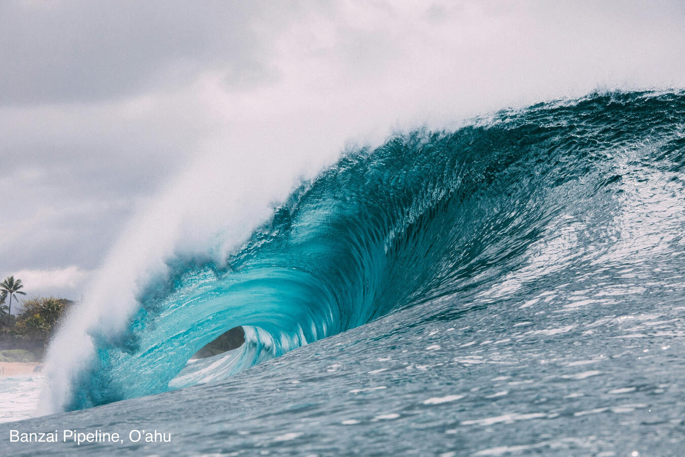 Surfer riding a large wave on North Shore O’ahu Hawaii