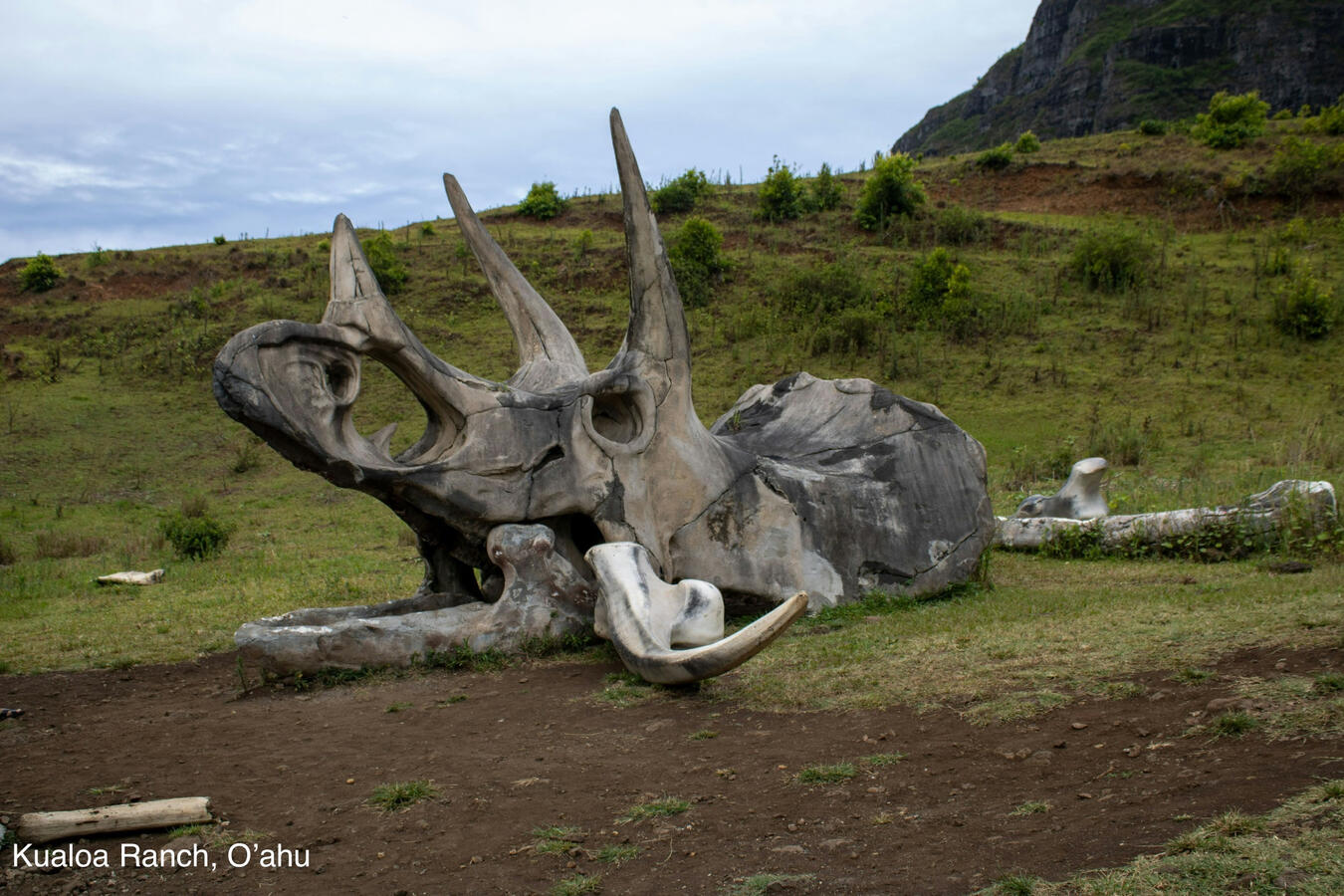 Kualoa Ranch, O’ahu